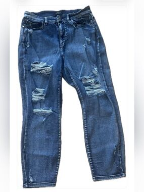 Judy Blue 16W Dark Blue Distressed Skinny Jeans